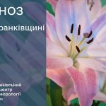 погода травень