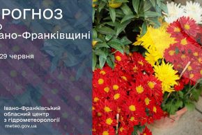 До 36° тепла: прогноз погоди у Франківську на 29 червня