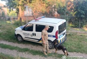 У Снятині затримали чоловіка, який до смерті побив 95-річну матір
