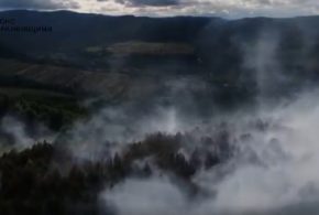 На Прикарпатті триває ліквідація лісової пожежі