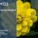 До 31° тепла: прогноз погоди у Франківську на 18 липня
