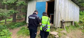 Вбивство у Верховинській громаді: загинув 27-річний чоловік
