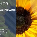 погода серпень