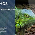 погода у серпні
