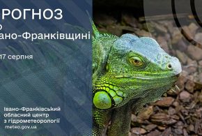 До 32° тепла: прогноз погоди у Франківську на 17 серпня