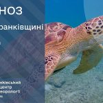 погода серпень