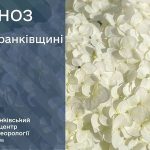 погода серпень