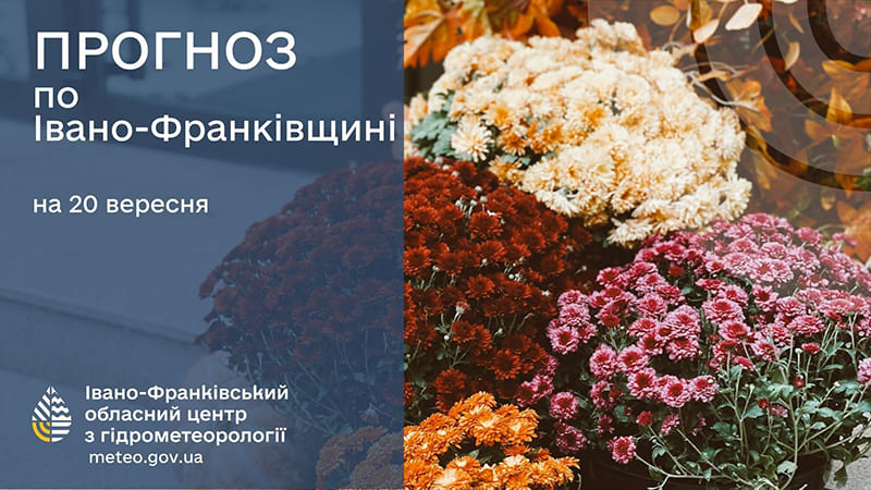 осінні квіти