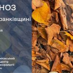 осіннє листя