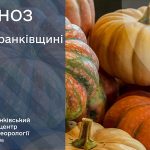 гарбузи
