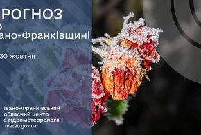Невеликий дощ: прогноз погоди у Франківську на 30 жовтня